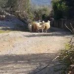 Kuca Za Odmor Suzi Сasa de vacaciones *