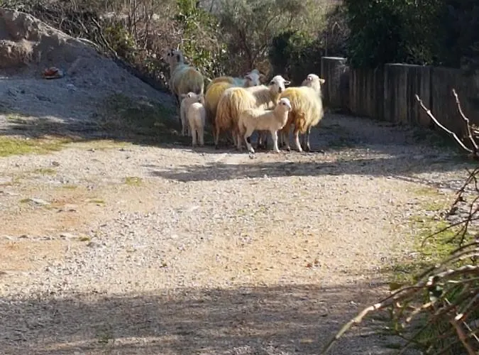 Kuca Za Odmor Suzi Prázdninový dům *